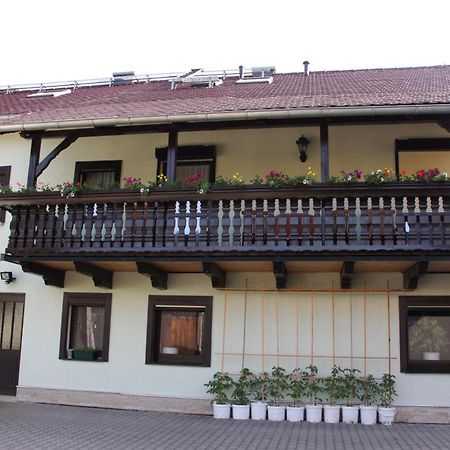 Ferienwohnung Bayer Gohrisch Bagian luar foto