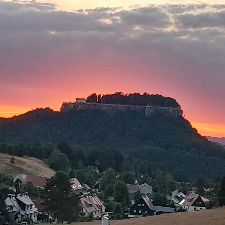 Ferienwohnung Bayer Gohrisch Bagian luar foto