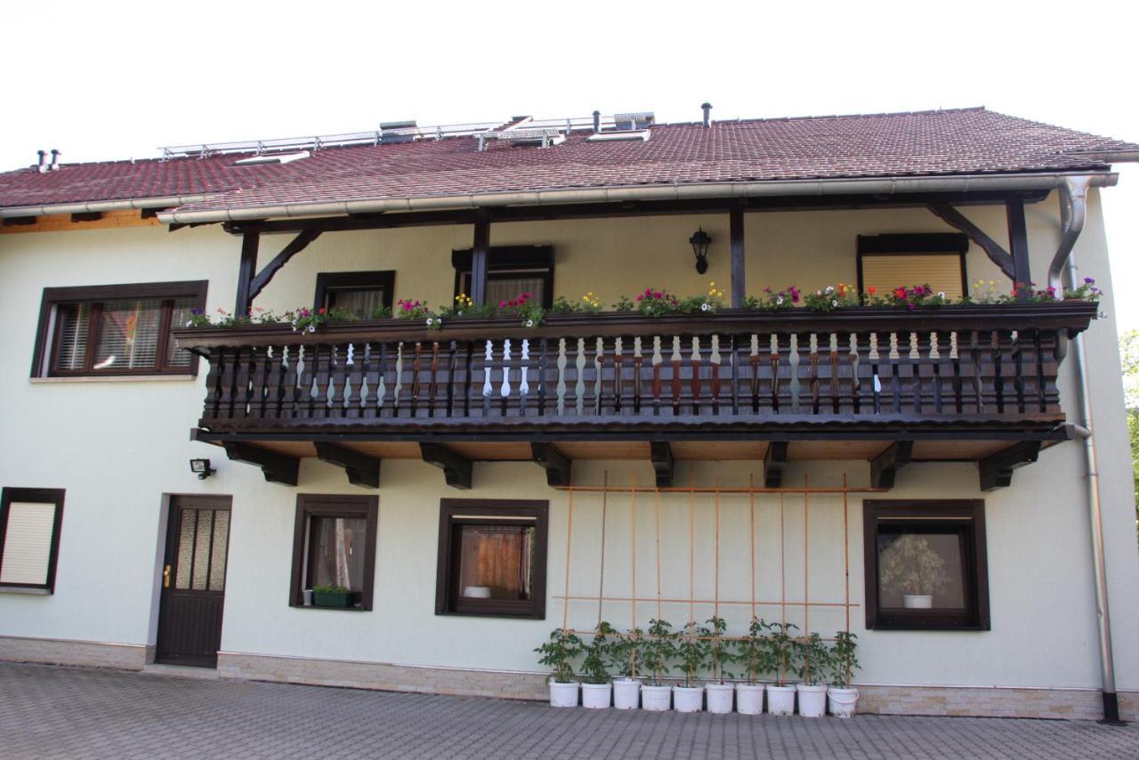 Ferienwohnung Bayer Gohrisch Bagian luar foto