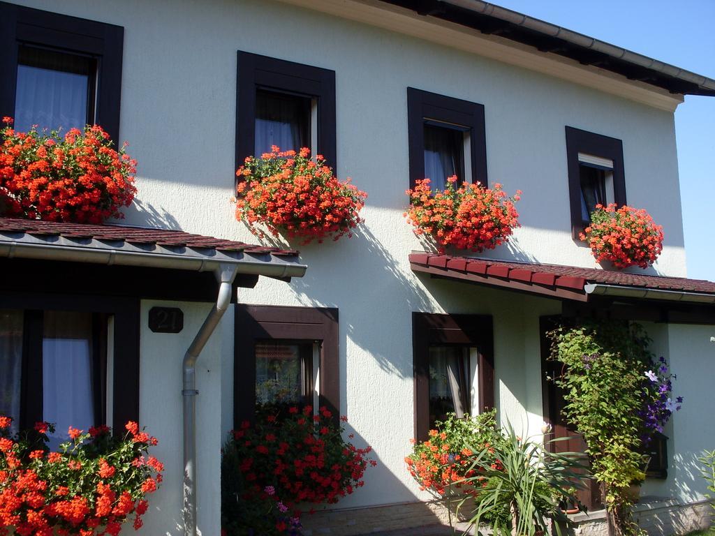 Ferienwohnung Bayer Gohrisch Bagian luar foto